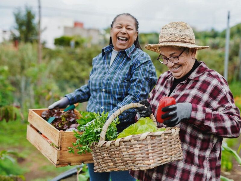 The Benefits of Eating Organic for Overall Wellness