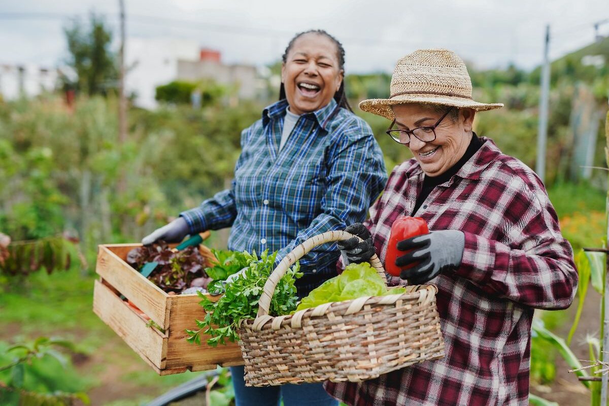 The Benefits of Eating Organic for Overall Wellness